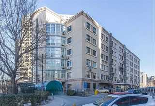 宁波直销羊眼哪家好